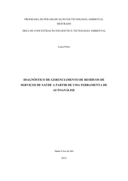 Disserta&ccedil;&atilde;o Luiza Portz