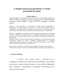 A fun&ccedil;&atilde;o social da propriedade e a tutela processual da posse