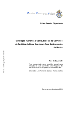 F&aacute;bio Pereira Figueiredo Simula&ccedil;&atilde;o Num&eacute;rica e Computacional de