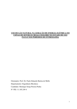 uso do g&aacute;s natural na gera&ccedil;&atilde;o de energia el&eacute;trica em usinas do