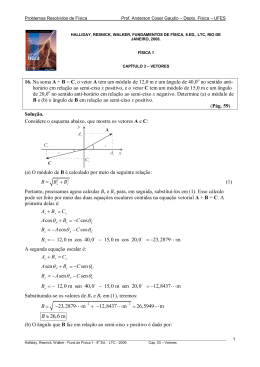Problemas Resolvidos de F&iacute;sica