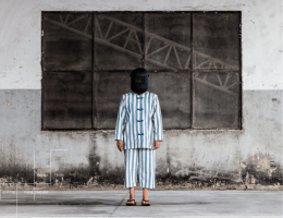 portfolio - Galeria Nara Roesler