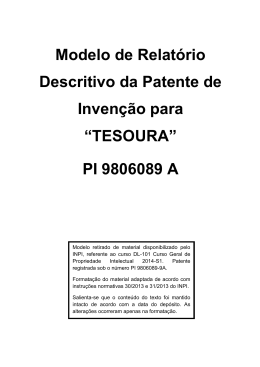 Modelo de Relatório Descritivo da Patente de Invenção para