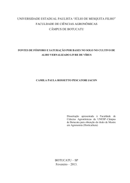 Arquivo PDF