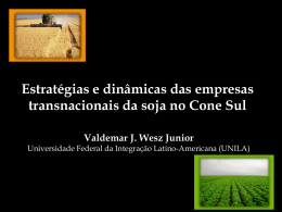 Estratégias e dinâmicas das empresas transnacionais da soja no