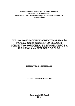 Estudo da secagem de sementes de mam&atilde;o papaya