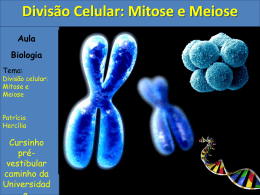 Divisão Celular: Mitose e Meiose - SEC / Anguera-Ba