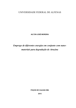 Disserta&ccedil;&atilde;o