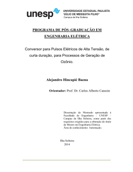 PROGRAMA DE P&Oacute;S&ndash;GRADUA&Ccedil;&Atilde;O EM ENGENHARIA