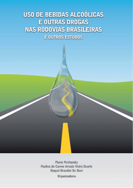 Se&ccedil;&atilde;o B &ndash; Cap&iacute;tulo VII - Programa Volvo de Seguran&ccedil;a no Tr&acirc;nsito