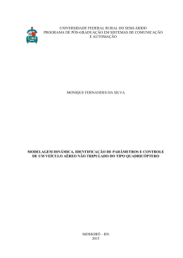 Disserta&ccedil;&atilde;o Monique Fernandes da Silva