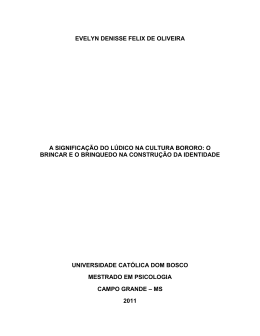 EVELYN DENISSE FELIX DE OLIVEIRA