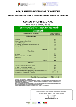 Agrupamento de escolas de Coruche CURSO PROFISSIONAL Ano