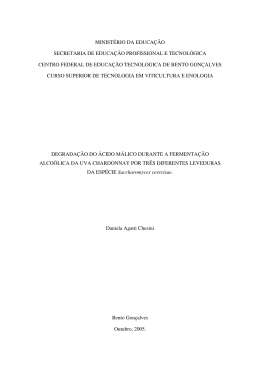 Degrada&ccedil;&atilde;o do &aacute;cido m&aacute;lico durante a fe