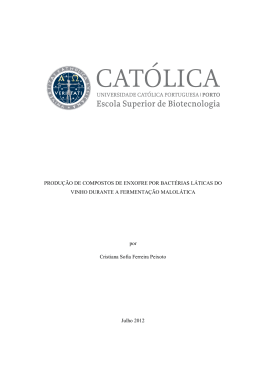 Introdu&ccedil;&atilde;o - Reposit&oacute;rio Institucional da Universidade Cat&oacute;lica