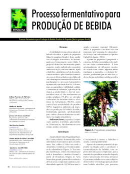 Processo fermentativo para PRODU&Ccedil;&Atilde;O DE BEBIDA