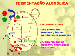 rendimento da fermentação alcoólica