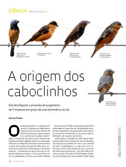 A origem dos caboclinhos - Revista Pesquisa FAPESP