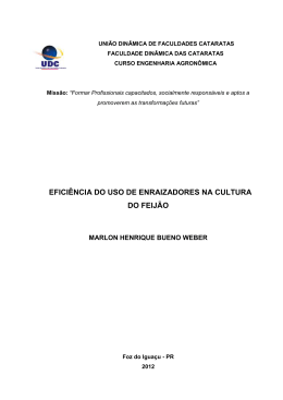 UNI&Atilde;O DIN&Acirc;MICA DE FACULDADES CATARATAS