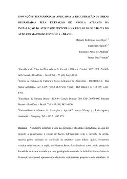 inova&ccedil;&otilde;es tecnol&oacute;gicas aplicadas a recupera&ccedil;&atilde;o de &aacute;reas