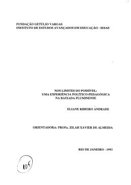 fundação getúlio vargas instituto de estudos avançados em educação