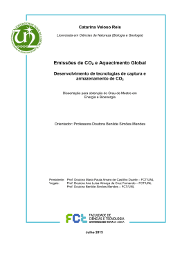 Emiss&otilde;es de CO2 e Aquecimento Global - RUN