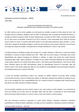 Indicadores Econ&oacute;mico-ambientais &ndash; NAMEA 1995