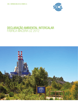 Declara&ccedil;&atilde;o Ambiental 2012