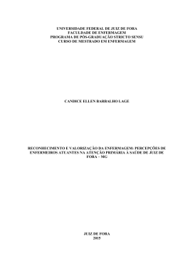 Disserta&ccedil;&atilde;o Candice Ellen Barbalho Lage