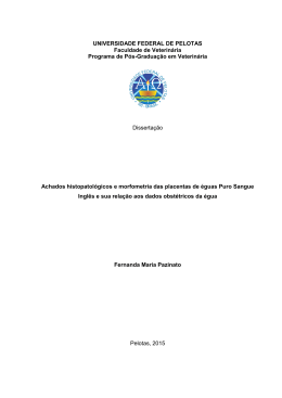 Achados histopatol&oacute;gicos e morfometria das placentas de
