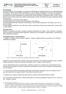 INTERA&Ccedil;&Otilde;ES MAGN&Eacute;TICAS