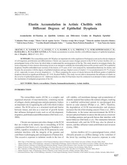 Elastin Accumulation in Actinic Cheilitis with Different Degrees of
