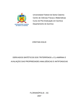 Derivados sint&eacute;ticos dos triterpenos ae B