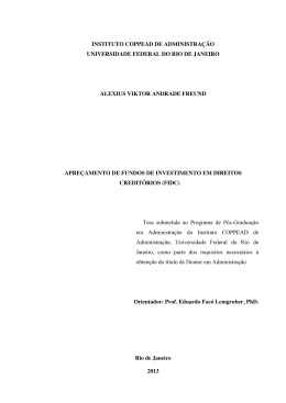i INSTITUTO COPPEAD DE ADMINISTRA&Ccedil;&Atilde;O