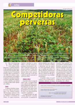 Plantas daninhas causam severas perdas na cultura do