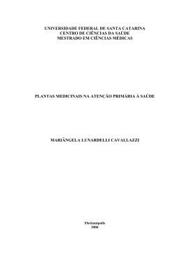 Disserta&ccedil;ao Mari&acirc;ngela Cavallazzi - Universidade Federal de Santa