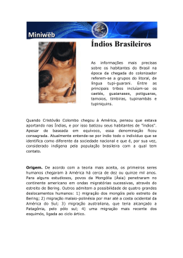 &Iacute;ndios Brasileiros