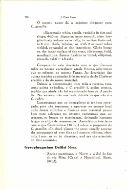 O mesmo autor d&aacute; a seguinte diagnose para C. gracilis