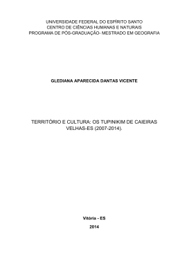 território e cultura: os tupinikim de caieiras velhas-es (2007