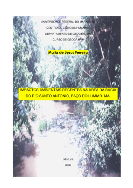 diagn&oacute;stico dimpactos ambientais recentes na &aacute;rea da bacia do rio