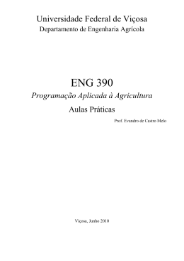 ENG 390 - Evandro de Castro Melo