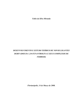 Fabio da Silva Miranda - Universidade Federal de Santa Catarina