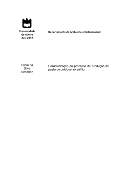 F&aacute;bio da Silva Resende Caracteriza&ccedil;&atilde;o do processo de produ&ccedil;&atilde;o