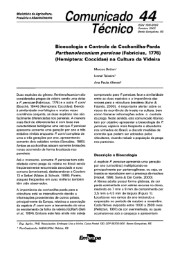 Comunicado 44 - Embrapa Uva e Vinho