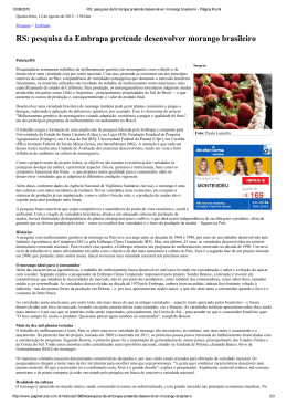 RS: pesquisa da Embrapa pretende desenvolver morango brasileiro