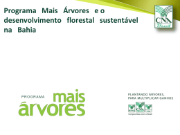 Programa mais Árvores e o Desenvolvimento Florestal Sustentável