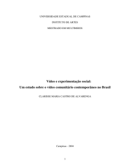 V&iacute;deo e experimenta&ccedil;&atilde;o social: Um estudo sobre o