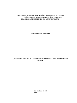 Disserta&ccedil;&atilde;o-Adriana Ruiz