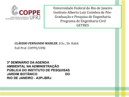 Universidade Federal do Rio de Janeiro Instituto Alberto Luiz