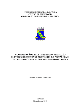 JOSEMAR DE SOUSA VIANA FILHO - DEE